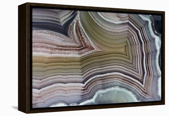 Laguna Banded Agate, Quartzsite, AZ-Darrell Gulin-Framed Premier Image Canvas