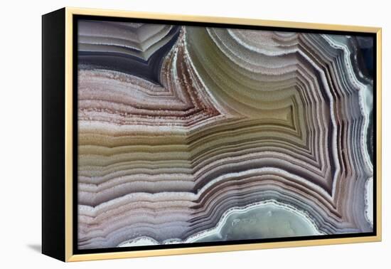 Laguna Banded Agate, Quartzsite, AZ-Darrell Gulin-Framed Premier Image Canvas