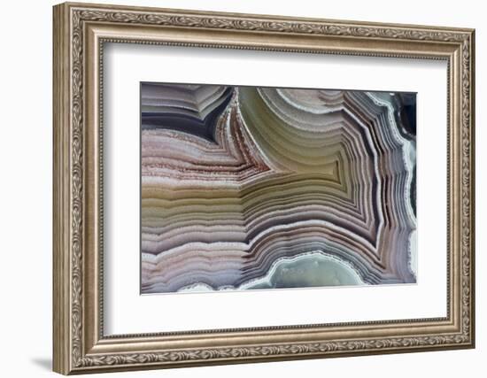 Laguna Banded Agate, Quartzsite, AZ-Darrell Gulin-Framed Photographic Print