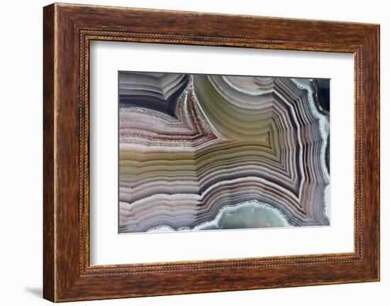 Laguna Banded Agate, Quartzsite, AZ-Darrell Gulin-Framed Photographic Print