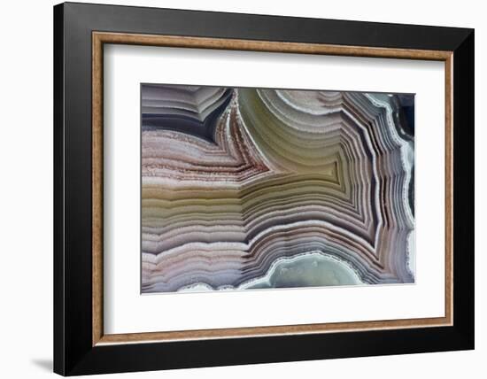 Laguna Banded Agate, Quartzsite, AZ-Darrell Gulin-Framed Photographic Print