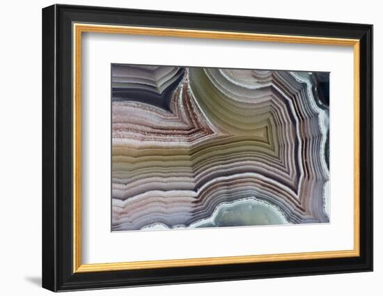 Laguna Banded Agate, Quartzsite, AZ-Darrell Gulin-Framed Photographic Print