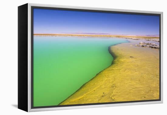Laguna Cejar (Floating Salt Lake Lagoon), Atacama Desert, North Chile, Chile, South America-Matthew Williams-Ellis-Framed Premier Image Canvas