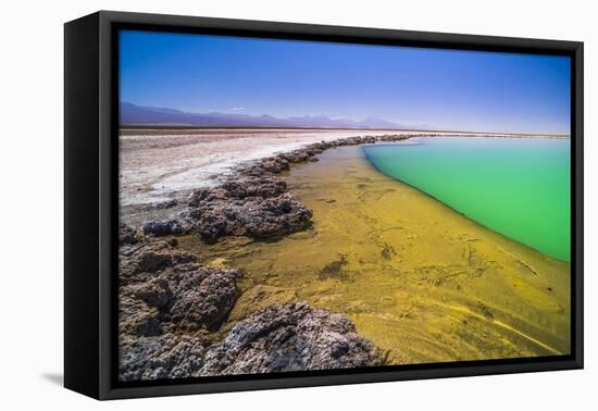 Laguna Cejar (Floating Salt Lake Lagoon), Atacama Desert, North Chile, Chile, South America-Matthew Williams-Ellis-Framed Premier Image Canvas