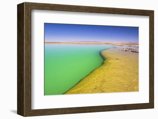 Laguna Cejar (Floating Salt Lake Lagoon), Atacama Desert, North Chile, Chile, South America-Matthew Williams-Ellis-Framed Photographic Print