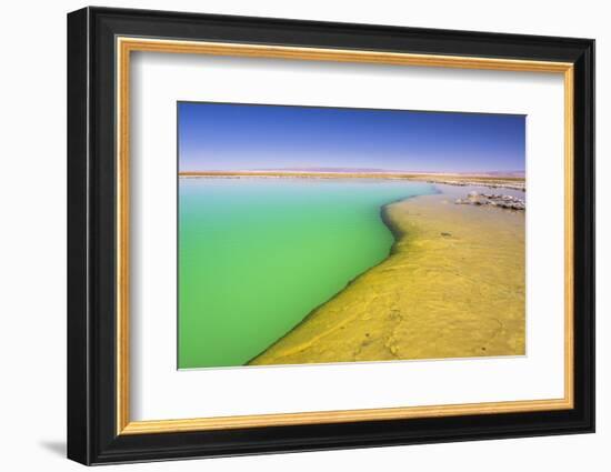 Laguna Cejar (Floating Salt Lake Lagoon), Atacama Desert, North Chile, Chile, South America-Matthew Williams-Ellis-Framed Photographic Print