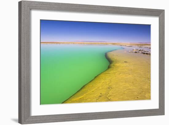 Laguna Cejar (Floating Salt Lake Lagoon), Atacama Desert, North Chile, Chile, South America-Matthew Williams-Ellis-Framed Photographic Print