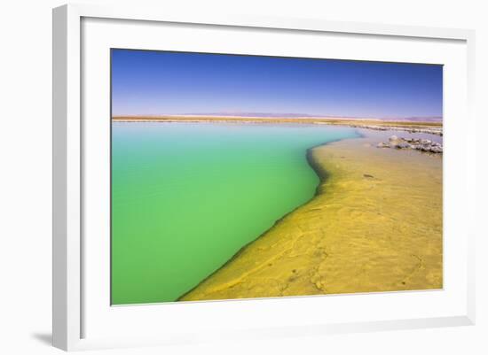 Laguna Cejar (Floating Salt Lake Lagoon), Atacama Desert, North Chile, Chile, South America-Matthew Williams-Ellis-Framed Photographic Print