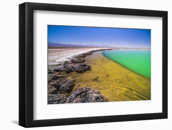 Laguna Cejar (Floating Salt Lake Lagoon), Atacama Desert, North Chile, Chile, South America-Matthew Williams-Ellis-Framed Photographic Print