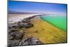 Laguna Cejar (Floating Salt Lake Lagoon), Atacama Desert, North Chile, Chile, South America-Matthew Williams-Ellis-Mounted Photographic Print