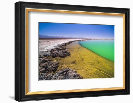 Laguna Cejar (Floating Salt Lake Lagoon), Atacama Desert, North Chile, Chile, South America-Matthew Williams-Ellis-Framed Photographic Print