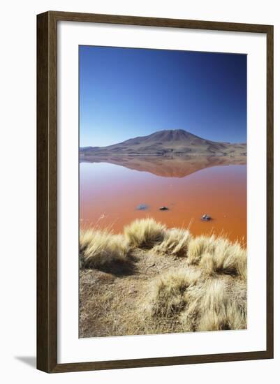 Laguna Colorada on the Altiplano, Potosi Department, Bolivia, South America-Ian Trower-Framed Photographic Print