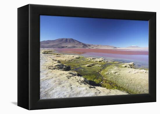 Laguna Colorada on the Altiplano, Potosi Department, Bolivia, South America-Ian Trower-Framed Premier Image Canvas