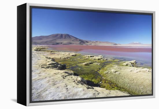 Laguna Colorada on the Altiplano, Potosi Department, Bolivia, South America-Ian Trower-Framed Premier Image Canvas