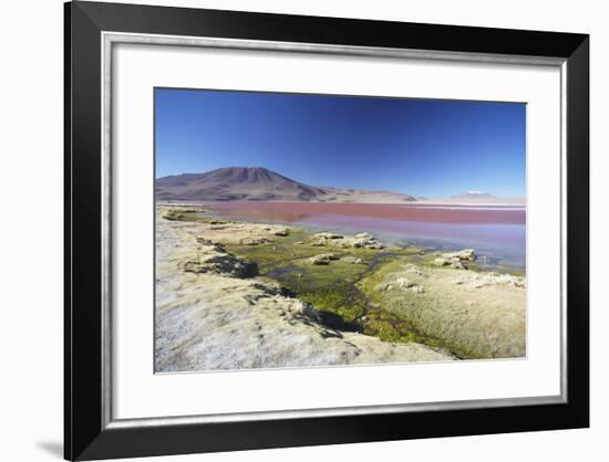 Laguna Colorada on the Altiplano, Potosi Department, Bolivia, South America-Ian Trower-Framed Photographic Print