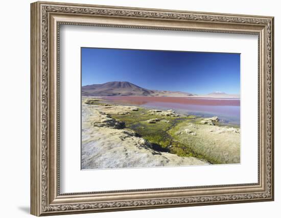 Laguna Colorada on the Altiplano, Potosi Department, Bolivia, South America-Ian Trower-Framed Photographic Print