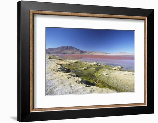 Laguna Colorada on the Altiplano, Potosi Department, Bolivia, South America-Ian Trower-Framed Photographic Print