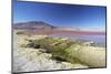 Laguna Colorada on the Altiplano, Potosi Department, Bolivia, South America-Ian Trower-Mounted Photographic Print