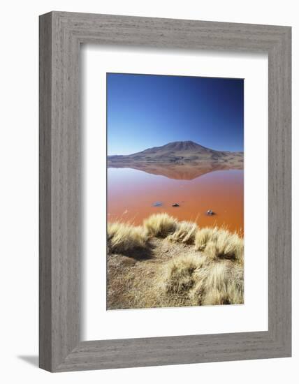 Laguna Colorada on the Altiplano, Potosi Department, Bolivia, South America-Ian Trower-Framed Photographic Print