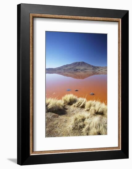 Laguna Colorada on the Altiplano, Potosi Department, Bolivia, South America-Ian Trower-Framed Photographic Print
