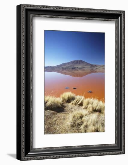 Laguna Colorada on the Altiplano, Potosi Department, Bolivia, South America-Ian Trower-Framed Photographic Print