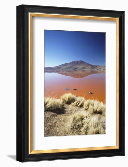 Laguna Colorada on the Altiplano, Potosi Department, Bolivia, South America-Ian Trower-Framed Photographic Print