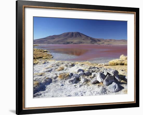 Laguna Colorada on the Altiplano, Potosi Department, Bolivia-Ian Trower-Framed Photographic Print