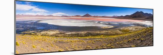 Laguna Colorada (Red Lagoon), Bolivia-Matthew Williams-Ellis-Mounted Photographic Print