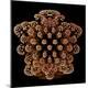 Premium Photographic Print