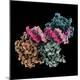 Premium Photographic Print
