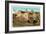 Laguna Pueblo, New Mexico-null-Framed Art Print