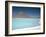 Laguna Verde with Mineral Flat Margin and Volcan Licancabur, 5960M, Southwest Highlands, Bolivia-Tony Waltham-Framed Photographic Print