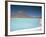 Laguna Verde with Mineral Flat Margin and Volcan Licancabur, 5960M, Southwest Highlands, Bolivia-Tony Waltham-Framed Photographic Print