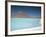 Laguna Verde with Mineral Flat Margin and Volcan Licancabur, 5960M, Southwest Highlands, Bolivia-Tony Waltham-Framed Photographic Print