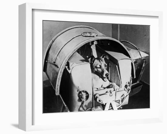 Laika, Russian Cosmonaut Dog, 1957-null-Framed Giclee Print