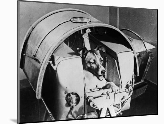 Laika, Russian Cosmonaut Dog, 1957-null-Mounted Giclee Print