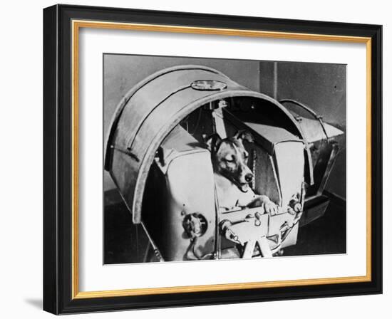 Laika, Russian Cosmonaut Dog, 1957-null-Framed Giclee Print