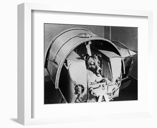 Laika, Russian Cosmonaut Dog, 1957-null-Framed Giclee Print