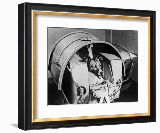 Laika, Russian Cosmonaut Dog, 1957-null-Framed Giclee Print