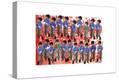 Stretched Canvas Print