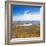 Lake Alexandrina and Snow Capped Mountains in Canterbury, South Island, New Zealand, Pacific-Matthew Williams-Ellis-Framed Photographic Print