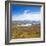 Lake Alexandrina and Snow Capped Mountains in Canterbury, South Island, New Zealand, Pacific-Matthew Williams-Ellis-Framed Photographic Print