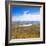 Lake Alexandrina and Snow Capped Mountains in Canterbury, South Island, New Zealand, Pacific-Matthew Williams-Ellis-Framed Photographic Print