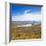 Lake Alexandrina and Snow Capped Mountains in Canterbury, South Island, New Zealand, Pacific-Matthew Williams-Ellis-Framed Photographic Print