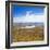 Lake Alexandrina and Snow Capped Mountains in Canterbury, South Island, New Zealand, Pacific-Matthew Williams-Ellis-Framed Photographic Print