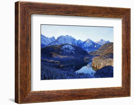 Lake Alpsee near Hohenschwangau and Tannheimer Alps, Allgau, Bavaria, Germany, Europe-Hans-Peter Merten-Framed Photographic Print