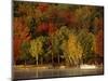 Lake and Boat with Fall Forest in Early Morning, New Hampshire, USA-Charles Sleicher-Mounted Photographic Print