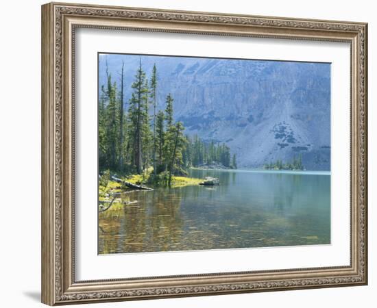 Lake and Conifers Below Cliffs, Brown Duck Mountain, High Uintas Wilderness, Ashley National Forest-Scott T^ Smith-Framed Photographic Print