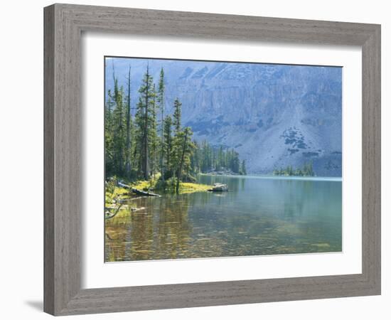 Lake and Conifers Below Cliffs, Brown Duck Mountain, High Uintas Wilderness, Ashley National Forest-Scott T^ Smith-Framed Photographic Print