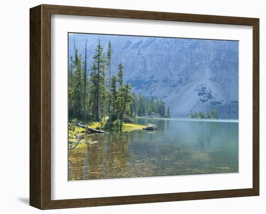 Lake and Conifers Below Cliffs, Brown Duck Mountain, High Uintas Wilderness, Ashley National Forest-Scott T^ Smith-Framed Photographic Print